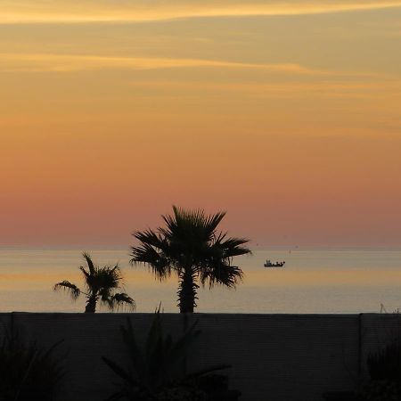 Ground Floor Studio With Access To Beach And Pool Ле-Баркарес Екстер'єр фото